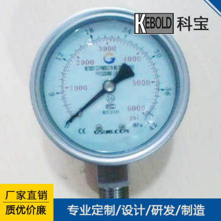 耐硫压力表 电池供电的数字压力表